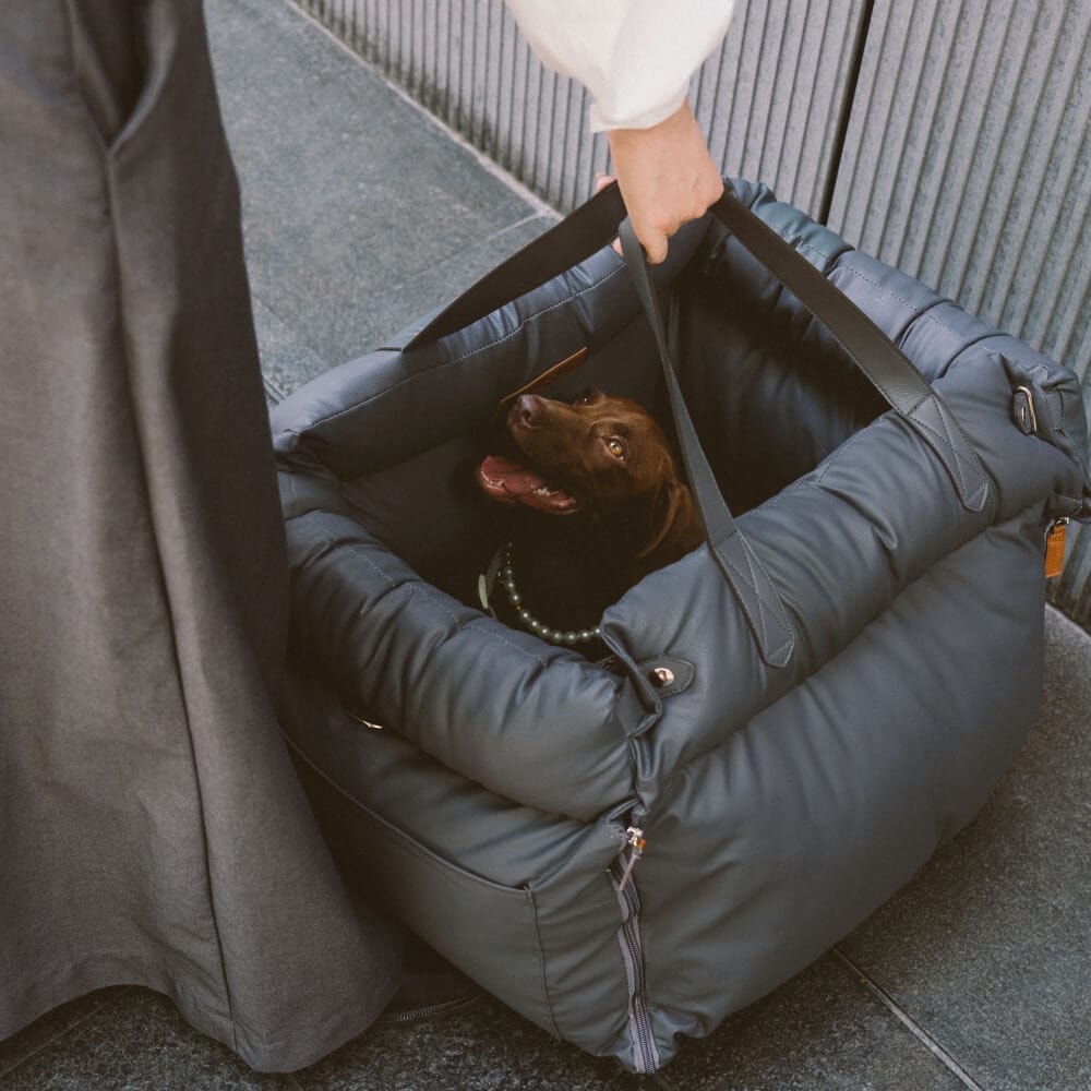 Siège Auto et Lit Rehausseur de Luxe pour Chien en Similicuir