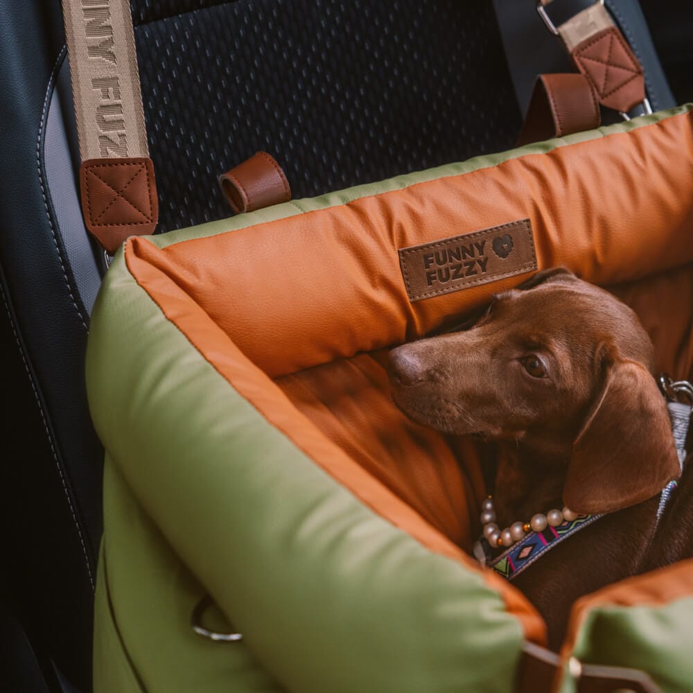 Siège Auto et Lit Rehausseur de Luxe pour Chien en Similicuir